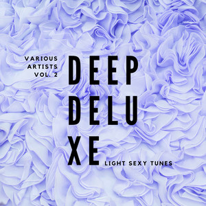 Deep Deluxe (Light Sexy Tunes) , Vol. 2