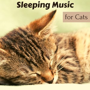 Sleeping Music for Cats – Calm My Cat, Music to Make Cats Sleep