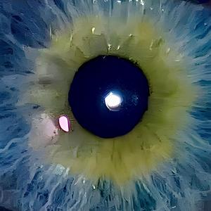 Jag ville drunka i dina ögon