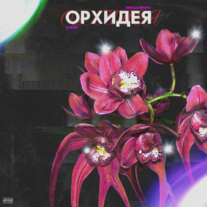 Орхидея (Explicit)