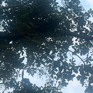 Don't you walk away (sped up) (feat. Prod.camsostatic)