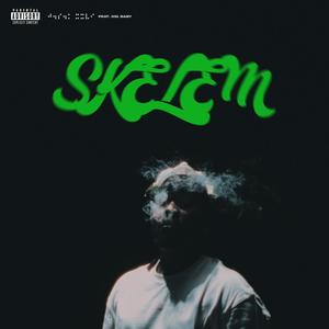 SKELEM. (feat. 031 Baby) (Explicit)