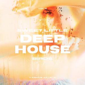 Sweet Little Deep-House Birds, Vol. 2 (Explicit)