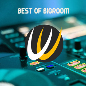 Best of Bigroom (Explicit)