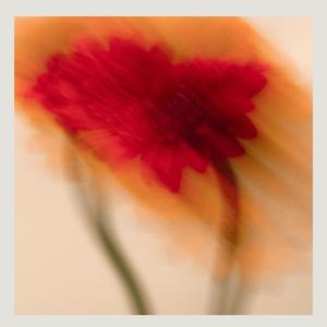 TRAVIS BARE - One More Time