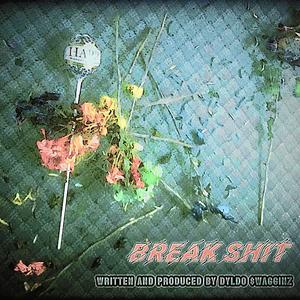 Break **** (Explicit)