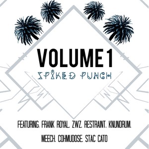 Spiked Punch, Vol. 1