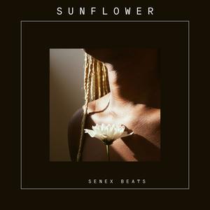 Sunflower (Radio Edit)