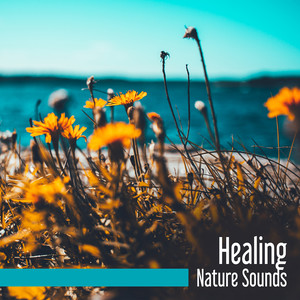 Healing Nature Sounds – Relaxing Music, Sounds of Nature, New Age, Green Garden, Relax