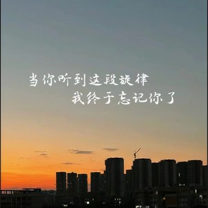 当你听到这段旋律，我终于忘记你了