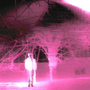 i don't rlly get high (sped up) (feat. ryanmadeit) (Explicit)