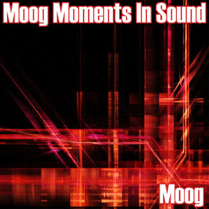 Moog Moments In Sound