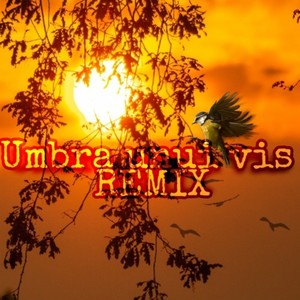 Umbra unui vis (Remix)