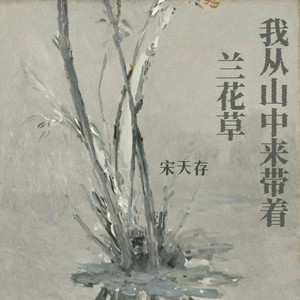 兰花草 (我从山中来带着兰花草)