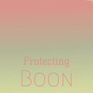Protecting Boon