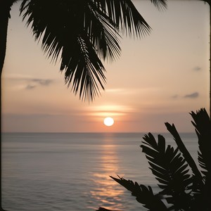 Malandro Tropical