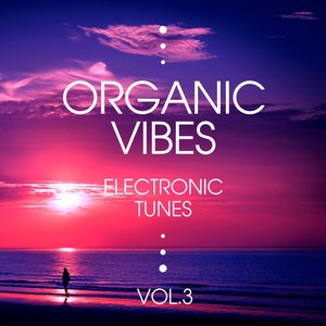 Organic Vibes (Electronic Tunes), Vol. 3