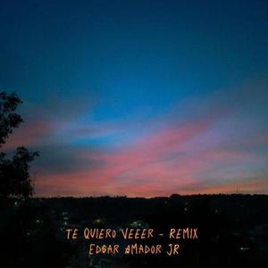 te quiero veeer (feat. Kevin Luve) (Remix)