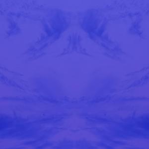 thought you were my bro (slowed + reverb)