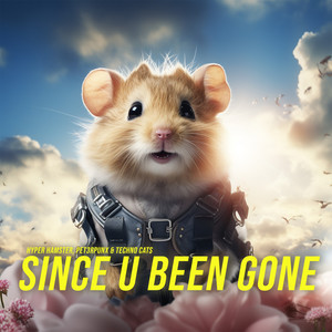 Hyper Hamster - Since U Been Gone