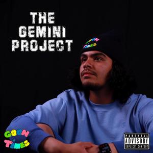 The Gemini Project (Explicit)