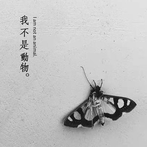 我不是动物