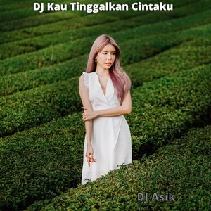 DJ Kau Tinggalkan Cintaku