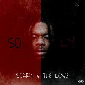 Sorry 4 The Love (Explicit)