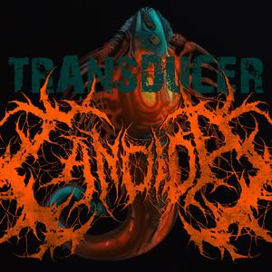 Transducer