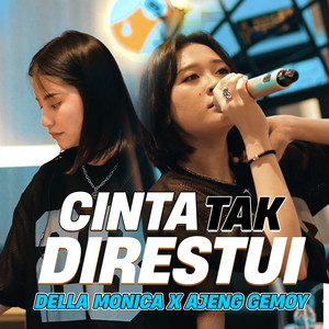 Cinta Tak Direstui