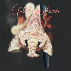 META-TO-phorsis (Explicit)