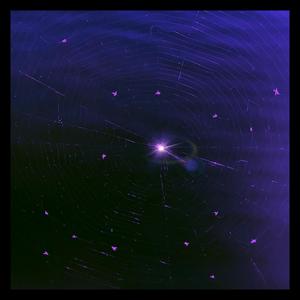 Dance Hot (Explicit)