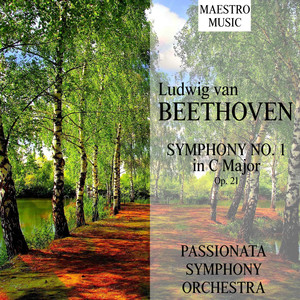 Beethoven: Symphony No. 1 In C Major, Op. 21