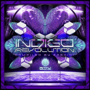 Indigo Revolution - Compiled by Dj Zaghini