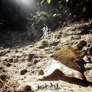 一篇二十年前的小学作文 (新版)