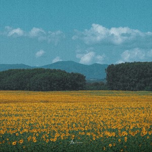 อ้อมกอดอุ่น (ในวันฝนพรำ)