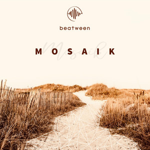 Mosaik