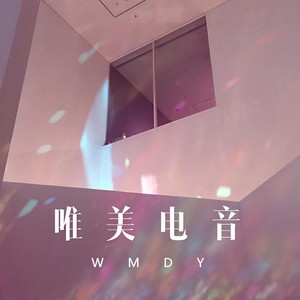 山海意难平 (DJ版)