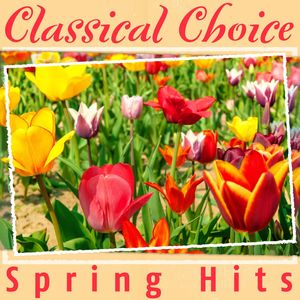 Classical Choice: Spring Hits - 24 Préludes, Op. 28: No. 15, Sostenuto in D-Flat Major