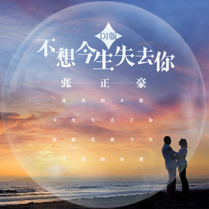 不想今生失去你 (DJ男声版)