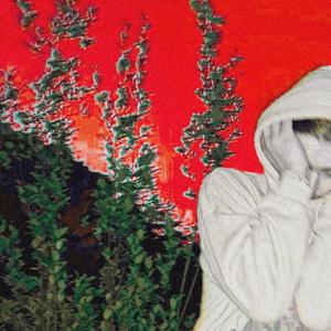 Perfect Plastic (Explicit)