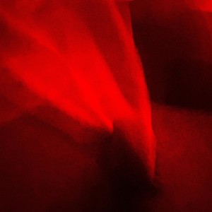 I Like How Much You Say My Name