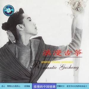 真我的风采 (纯音乐)封面