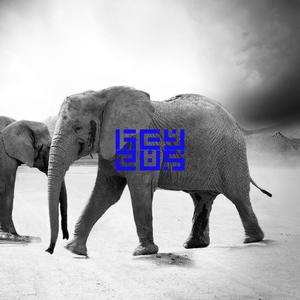 Classy Thugs(feat. SoFi Beats)