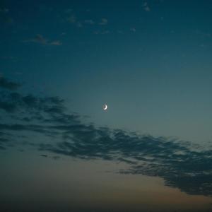 The MookMann - My own Trennd