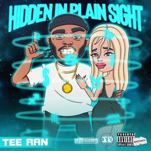 Hidden In Plain Sight (Explicit)