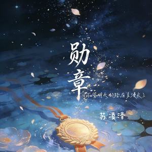 勋章（不管明天的路有多漫长）-苏凌泽