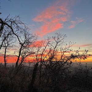 Fourth Floor(feat. MickP) (Explicit)