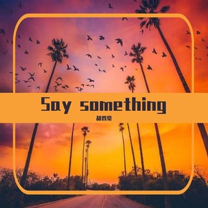 Say Something