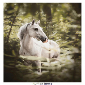 Lil Nas X-Old Town Road (Ruffian Bomb remix)